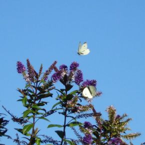 Quitter le cocon pour s&rsquo;envoler&nbsp;….