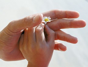 Son dernier jour de crèche&nbsp;….