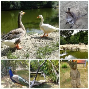 Notre visite au Refuge de&nbsp;l&rsquo;Arche