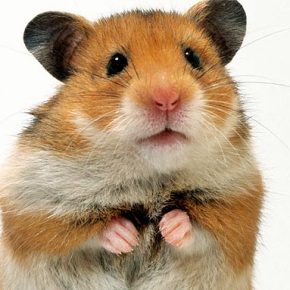 Mamaaan !!!! un mystère&nbsp;!!!!