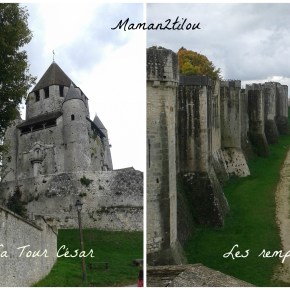 Une journée à Provins : l&rsquo;Histoire grandeur&nbsp;nature